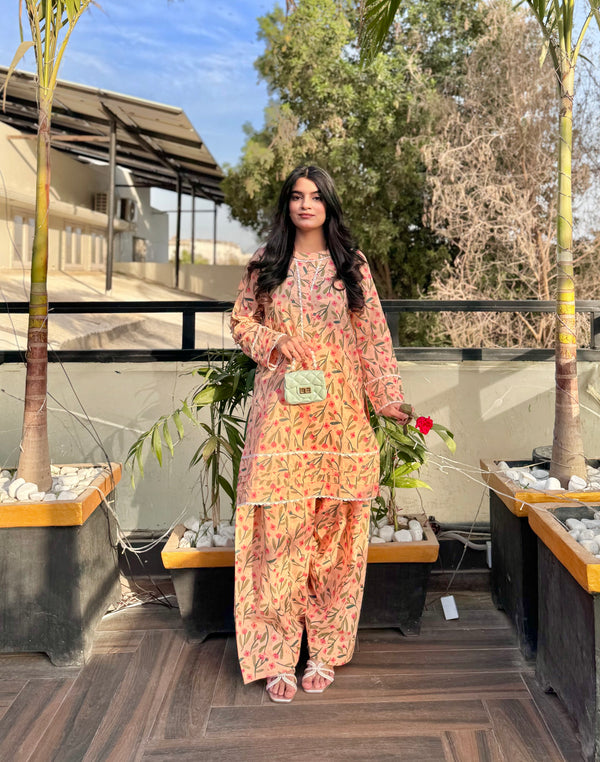 Blossom Farshi Suit